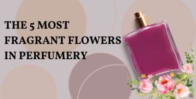 The 5 Most Fragrant Flowers In Perfumery