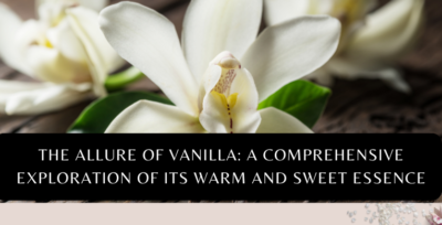 The Allure of Vanilla: A Comprehensive Exploration of its Warm and Sweet Essence