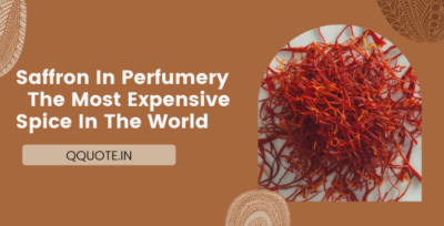 Saffron In Perfumery – The Most Expensive Spice In The World