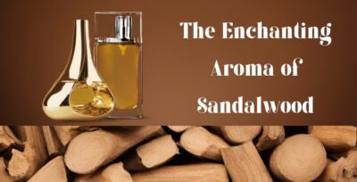 The Enchanting Aroma of Sandalwood